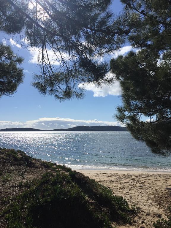 Villa Cala Corsa - 3 Et 4 - Cala Rossa Porto-vecchio - Entierement Climatisees Avec Piscine Chauffee Partagee Et Piscines Privees - Internet Gratuit *