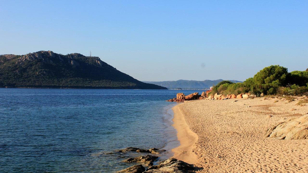 Cala Corsa - 3 Et 4 - Cala Rossa Porto-vecchio - Entierement Climatisees Avec Piscine Chauffee Partagee Et Piscines Privees - Internet Gratuit Porto-Vecchio (Corsica)